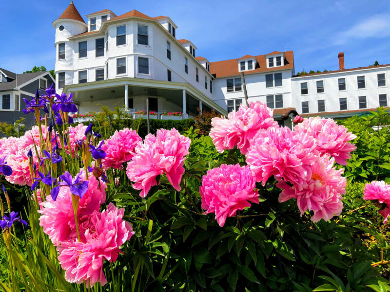 Mackinac Island Spring Vacation Destination 906 Rewards Club